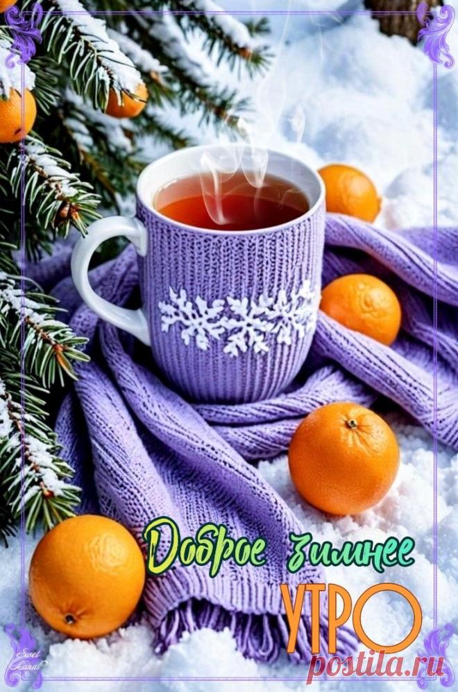 С добрым утром Привет Здрасте Добрый день