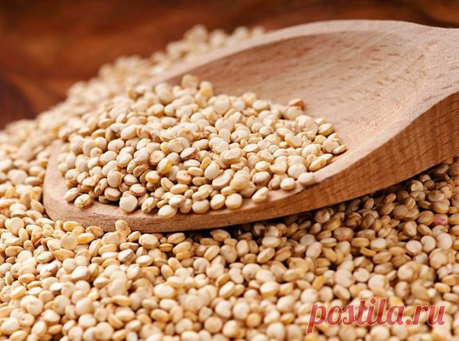 Блюда из киноа | КУЛИНАРИЯ на все случаи жизни. Авторский сайт Михаила Трапезникова