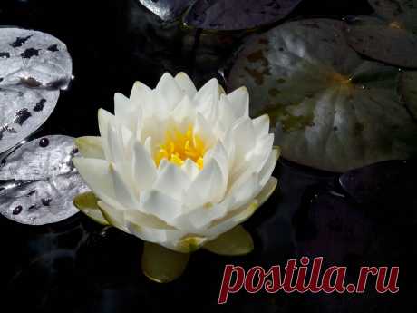 Редактировать описание