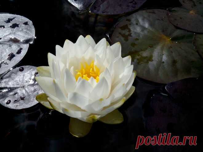 Редактировать описание