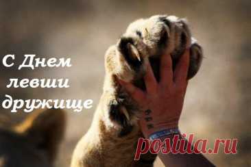 С международным днем левшей,
Сегодня вас хочу поздравить.
И только теплые слова,
В ваш адрес я хочу направить.