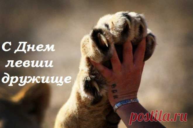 С международным днем левшей,
Сегодня вас хочу поздравить.
И только теплые слова,
В ваш адрес я хочу направить.