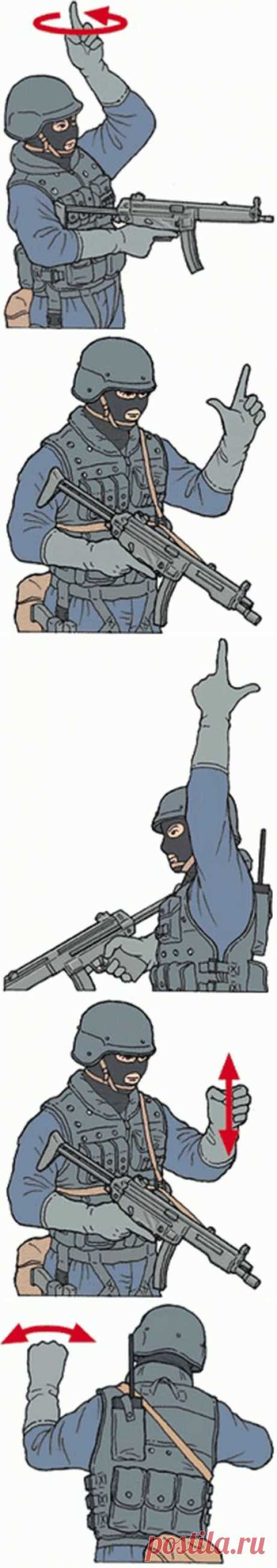 Язык жестов спецназа | Сайга 12.ru