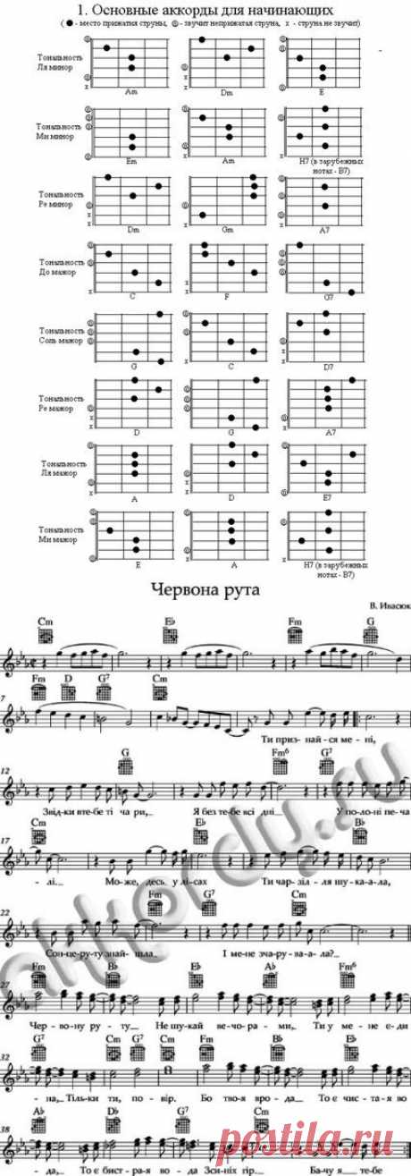 основные аккорды для начинающих и &quot;червона рута&quot;