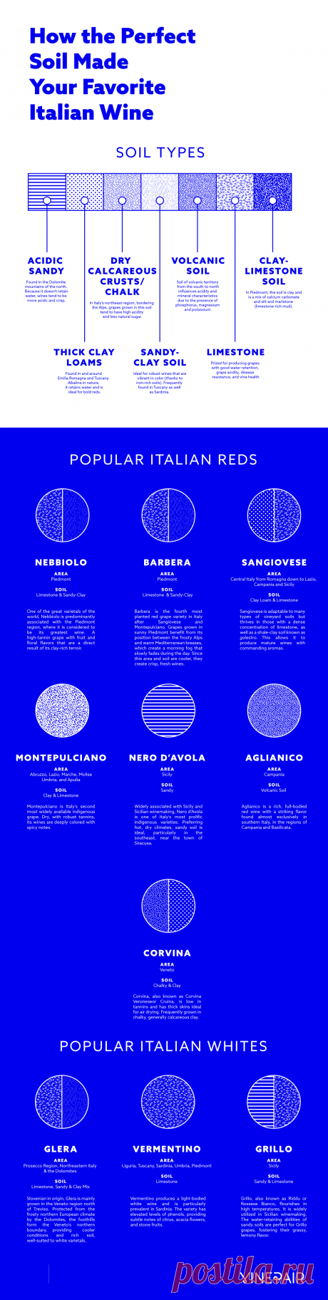 How the Perfect Soil Made Your Favorite Italian Wine (INFOGRAPHIC) | VinePair