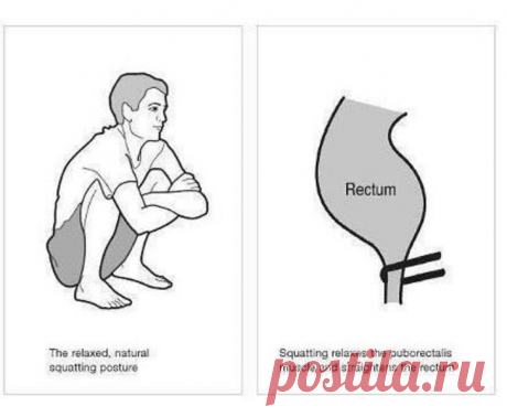 Ты сидел в туалете неправильно всю свою жизнь. Вот как надо.