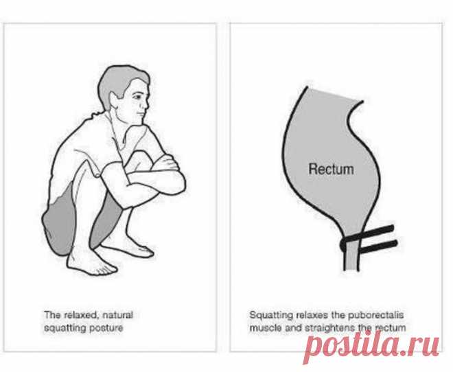 Ты сидел в туалете неправильно всю свою жизнь. Вот как надо.
