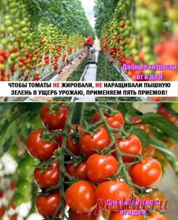 (16) Одноклассники