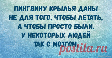 Бодрящие анекдоты для поднятия настроения)