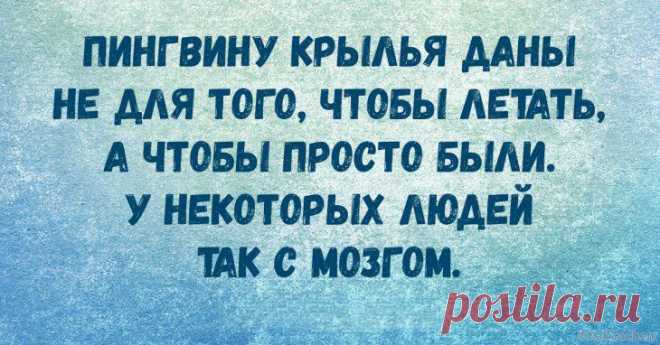 Бодрящие анекдоты для поднятия настроения)