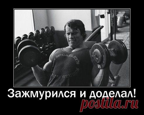 Арни такой, он может!