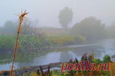 Чувства разные бывают... – Google+