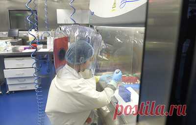 Датский эксперт не исключил, что нулевой пациент с ковидом работал в лаборатории в Ухане. Он мог заразиться в полевых условиях, собирая пробы для научных исследований, считает руководитель миссии ВОЗ в Китай в январе 2021 года Питер Бен Эмбарек