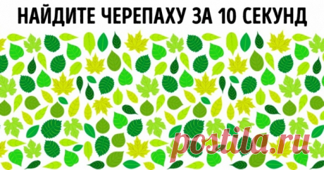Простой тест покажет, настоящий ли вы интроверт . Милая Я