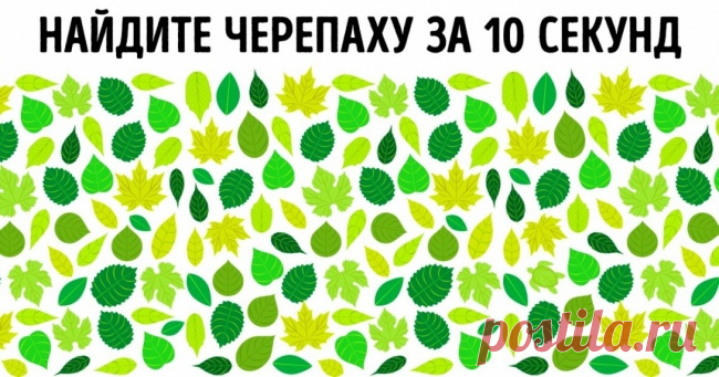 Простой тест покажет, настоящий ли вы интроверт . Милая Я