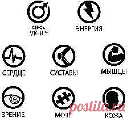 Современные мужчины сталкиваются со многими проблемами: сердечные заболевания, инсульты, рак, алкоголизм, ожирение, снижение уровня тестостерона и многое другое. Все эти факторы не только сокращают продолжительность жизни мужчин, но и снижают качество жизни. Пришло время все изменить и получать от жизни больше!
УКАЗАНИЯ ПО ПРИМЕНЕНИЮ: Принимайте по одному пакетику каждый день в течение 6 дней. Сделайте перерыв на 1 день, затем продолжайте прием.
8 FOR MEN™ разработан, чтобы помочь мужчинам бра