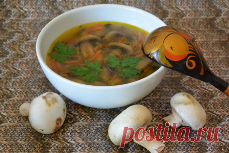 Суп из шампиньонов - пошаговый рецепт с фото (2034 просмотра)