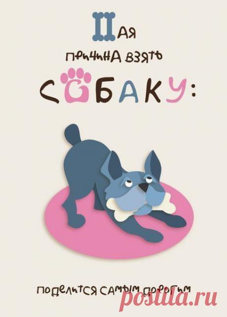 Семь причин завести собаку