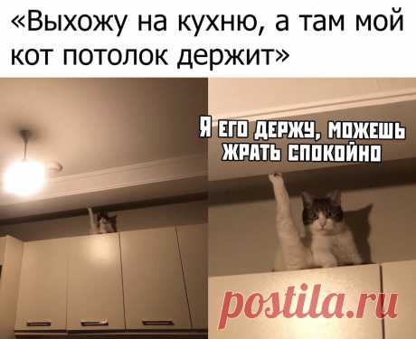 Мы не скачем. Мы МОСКАЛИ!!! — Разное | OK.RU