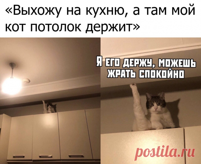 Мы не скачем. Мы МОСКАЛИ!!! — Разное | OK.RU