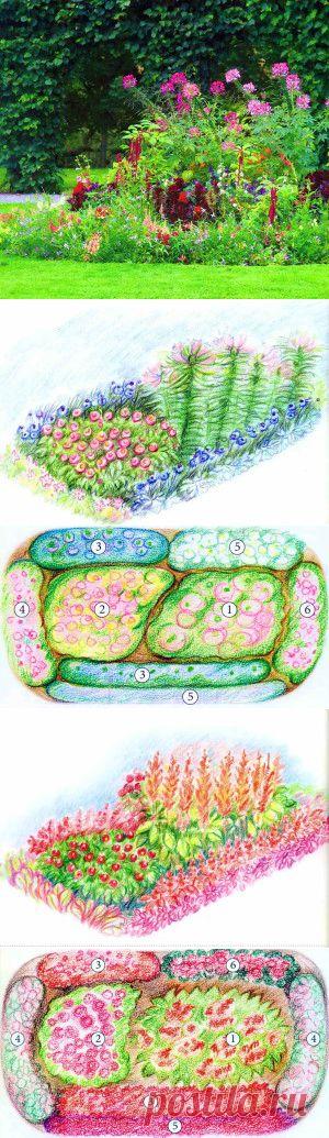 Яркие комбинации цветников из однолетников, схемы посадок | Дача - впрок