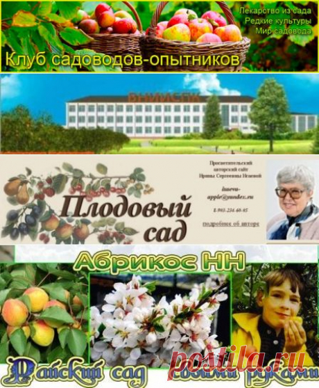 Лучшие сайты по садоводству и виноградарству - Сады Сибири