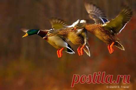 Мой Мир@Mail.Ru