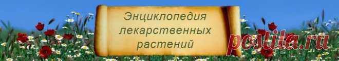 Дневник Армине_Михайлова