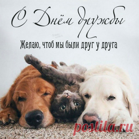 С днём дружбы я Вас поздравляю,
Достатка в доме Вам желаю,
Флотилию верных, надёжных друзей.
Желаю я Вам, чтоб жилось веселей!