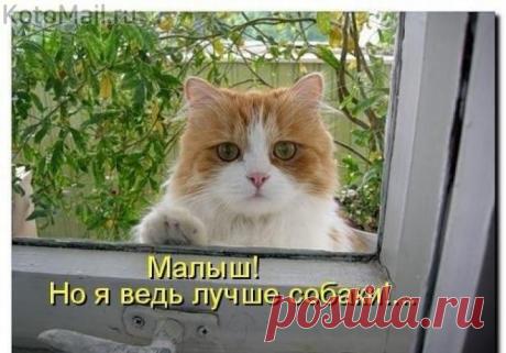 Выбери меня...