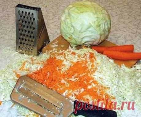 Квасим капусту ! Самые лучшие рецепты 

1. Вкуснейшая хрустящая капуста "Пелюстка" - очень просто!
Продолжая тему капусты, готовим вкуснейшую маринованную закуску из 
капусты.
Маринуется такая капуста вместе со свеклой,что и придаёт её листочкам не
только отличный вкус и аромат,но и красивый розовый цвет.
Именно благодаря своему цвету,похожему на цвет лепестков розы, капуста 
"Пелюстка"и получила своё название.
"Пелюстка" в переводе с украинского означает лепесток.
Получае...