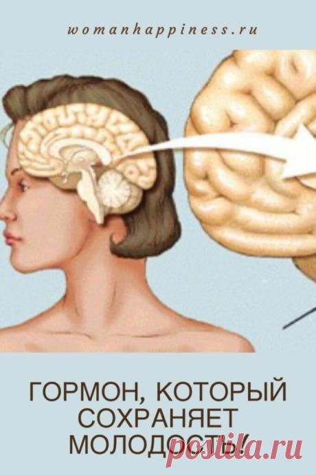 Гормон молодости - время назад 
Этот гормон называют — «гормон молодости и красоты». И не зря!
Мелатонин оказывает мощный антиоксидантный и противоопухолевый эффект! Мелатонин — это гормон молодости! Как наладить его выработку в организме? Кликайте на фото, чтобы прочитать ⤴