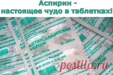 Аспирин - настоящее чудо в таблетках!
 Ацетилсалициловая кислота (научное название аспирина) имеет широкое применение в быту.
Аспирин был изобретен и внедрен в массовое производство еще 120 лет назад врачом Феликсом Хоффманном и до сих пор удивляет своими свойствами. При этом аспирин используется не только в медицине, что всем известно, но и широко применяют в быту, не по прямому назначению, как говорится. О этом ниже
1. Напомним, что если в воде, которая находится в вазе с цветами, растворен