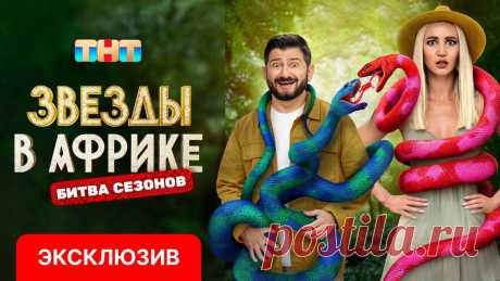 Видеохостинг RUTUBE. Смотрите видео онлайн, бесплатно.