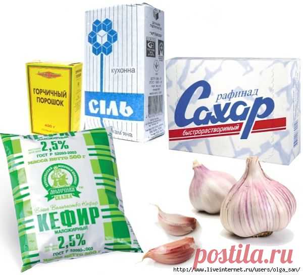 Чем заменить ядохимикаты в саду и огороде.