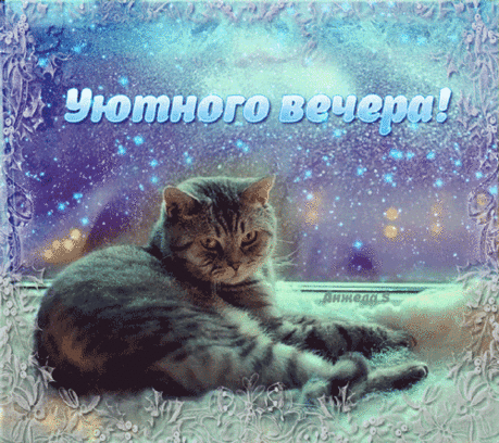 363936126.gif (500×444)