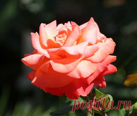 s-14022.jpg (2629×2224)