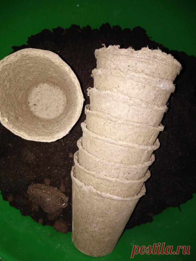 Торфяные горшочки для рассады не разлагаются. Или не должны?