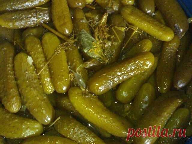 1 непрочитанный чат