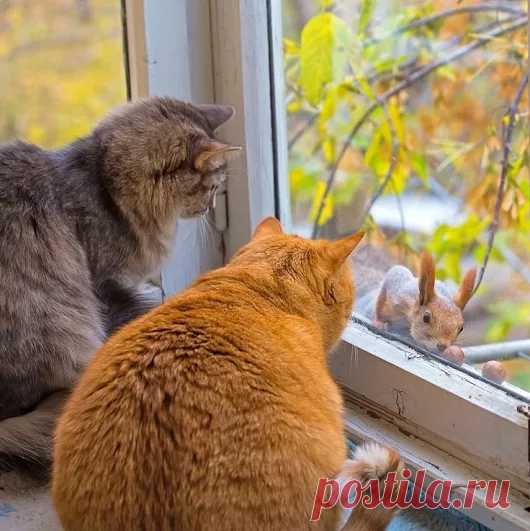 hussain muhamad kho - Google+