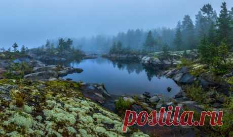 «Цвет пасмурного утра». Ладожское озеро. Автор фото: Фёдор Лашков.