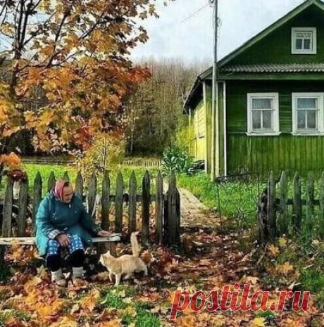 ⠀⠀⠀⠀Многим придется по душе это фото !!!!