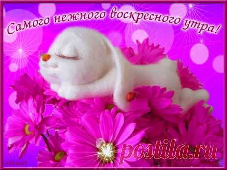Доброе утро добрые люди🌞🥰 Весёлого дня! ☺️
