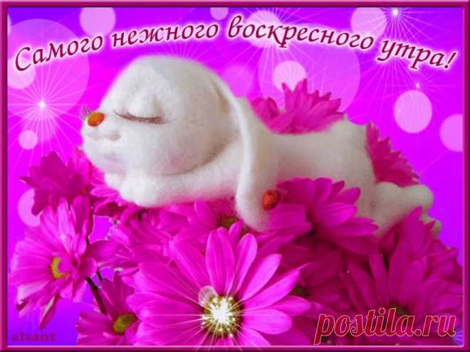 Доброе утро добрые люди🌞🥰 Весёлого дня! ☺️