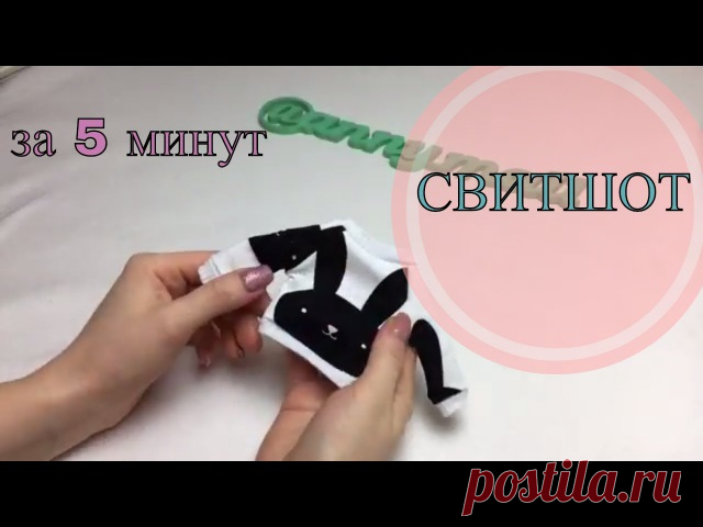 Мастер-класс по пошиву свитшота для вашей любимки