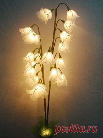 Сарочка Черныш
Израиль, Petah Tikva