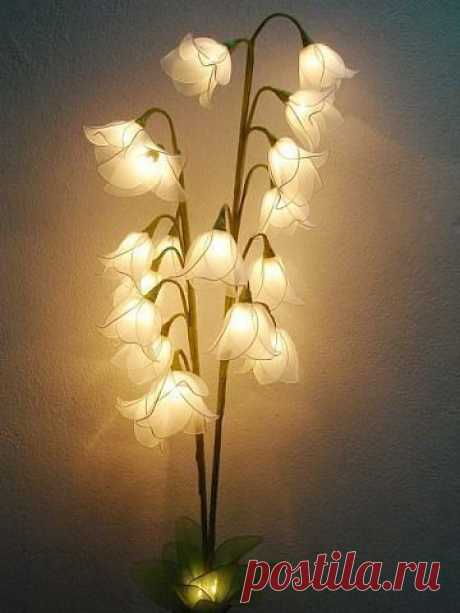 Сарочка Черныш
Израиль, Petah Tikva