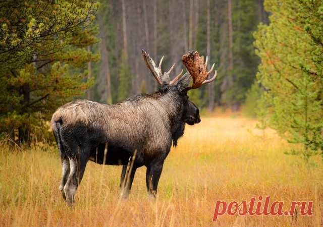 Снимки, вызывающие эмоции - ЯПлакалъ
