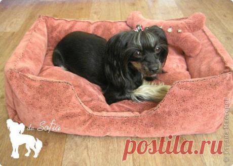 Мастер-класс: Лежак для собаки | Страна Мастеров