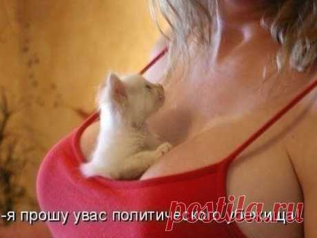 Классное убежище!